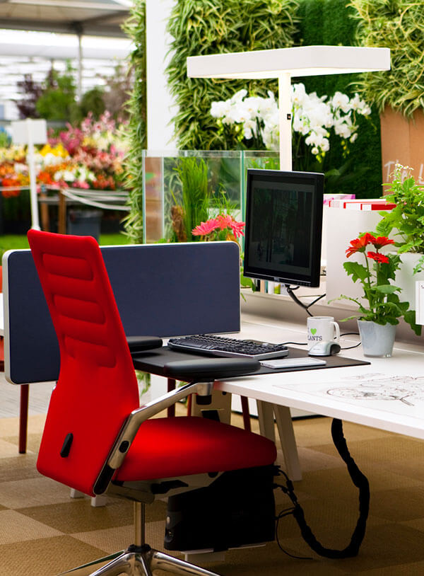 plants-in-office